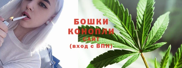 стафф Коряжма