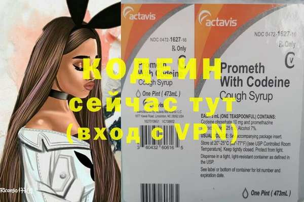 стафф Коряжма